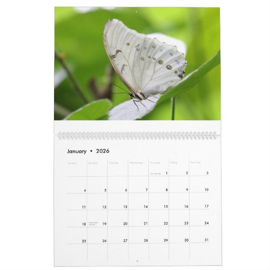 Butterflies 2019 kalender (Jan 2026)