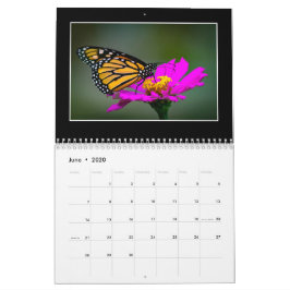 Butterflies 2020 Agenda van Tom Minutolo Kalender