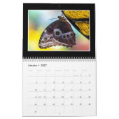 Butterflies 2020 Agenda van Tom Minutolo Kalender (Jan 2027)