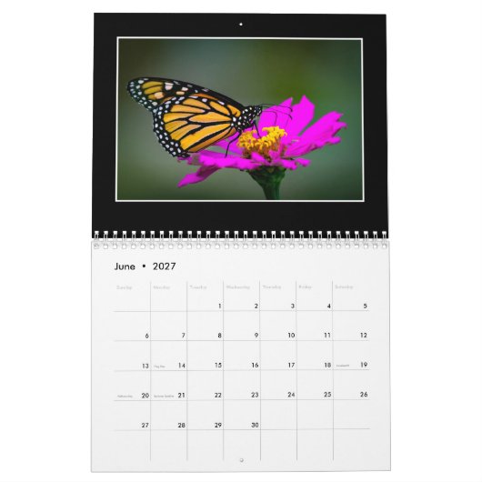 Butterflies 2020 Agenda van Tom Minutolo Kalender (Jun 2027)