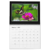 Butterflies 2020 Agenda van Tom Minutolo Kalender (Feb 2027)