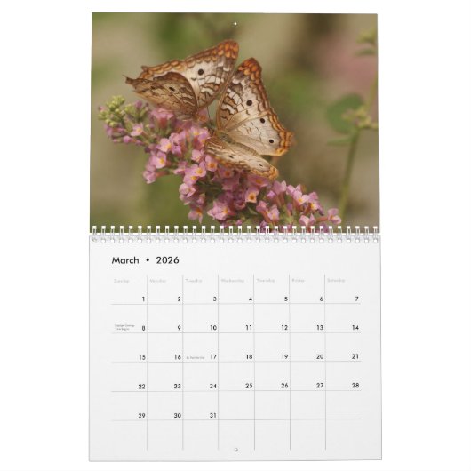 Butterflies 2024 kalender (Mar 2026)