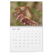 Butterflies 2024 kalender (Mar 2027)