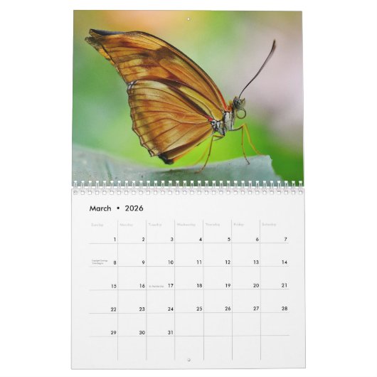 Butterflies 2025 kalender (Mar 2026)