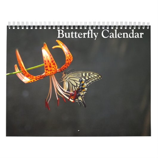 Butterflies 2025 kalender (Hoes)