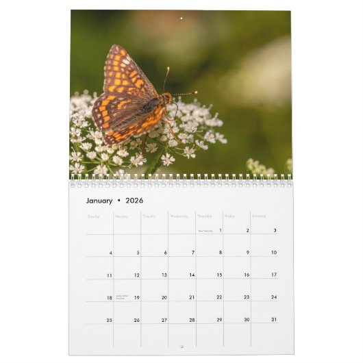 Butterflies 2025 kalender (Jan 2026)