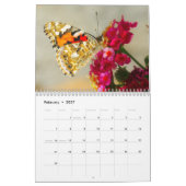 Butterflies 2025 kalender (Feb 2027)