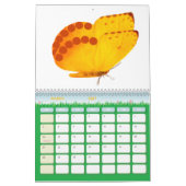 Butterflies 2026 One Year Calendar Kalender (Mar 2027)