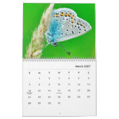 Butterflies [2] Wall Calendar Kalender (Mar 2027)