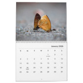 Butterflies [2] Wall Calendar Kalender (Jan 2026)