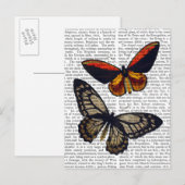 Butterflies 3 briefkaart (Voorkant / Achterkant)