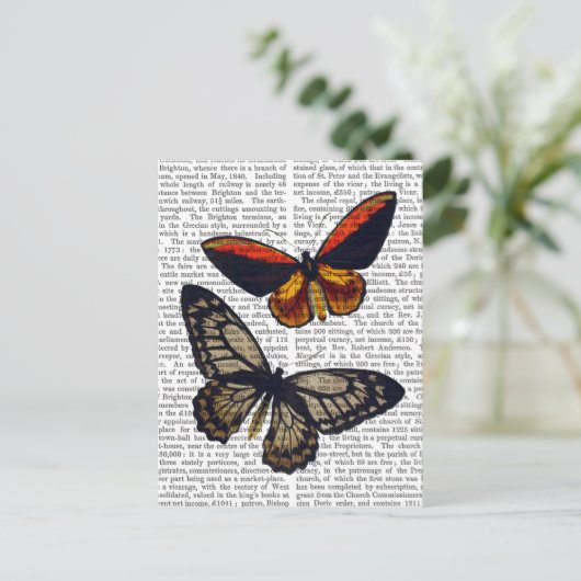 Butterflies 3 briefkaart (Staand voorkant)