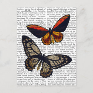 Butterflies 3 briefkaart