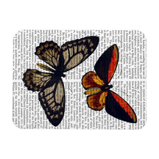 Butterflies 3 magneet (Horizontaal)