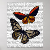 Butterflies 3 poster (Voorkant)