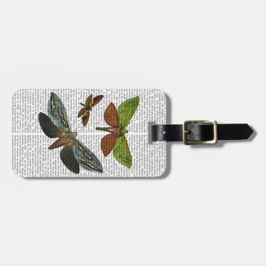 Butterflies 4 bagagelabel (Voorkant horizontaal)