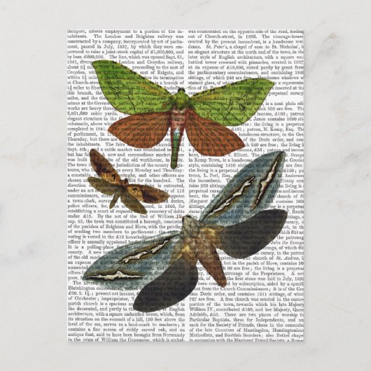 Butterflies 4 briefkaart (Voorkant)