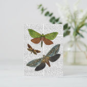 Butterflies 4 briefkaart (Staand voorkant)