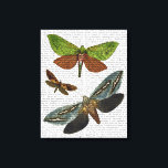 Butterflies 4 canvas afdruk<br><div class="desc">Dieren en Natuur</div>