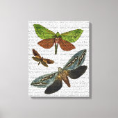 Butterflies 4 canvas afdruk (Voorkant)
