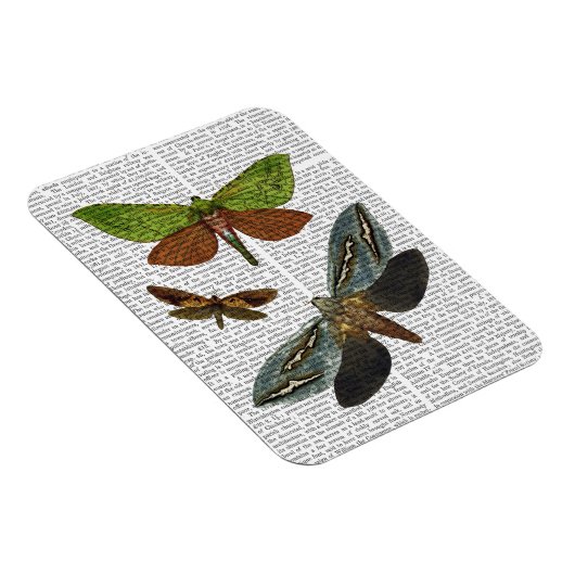 Butterflies 4 magneet (Rechterzijde)