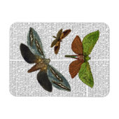 Butterflies 4 magneet (Horizontaal)