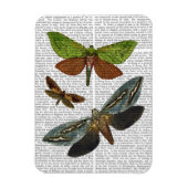 Butterflies 4 magneet (Verticaal)