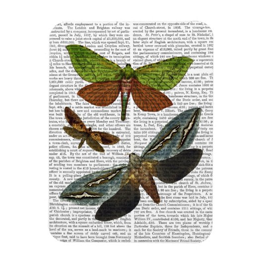 Butterflies 4 magneet (Verticaal)