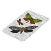 Butterflies 4 magneet (Linkerzijde)