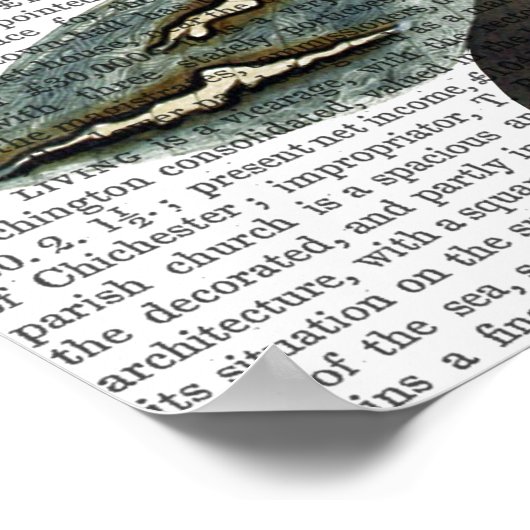 Butterflies 4 poster (Hoek)