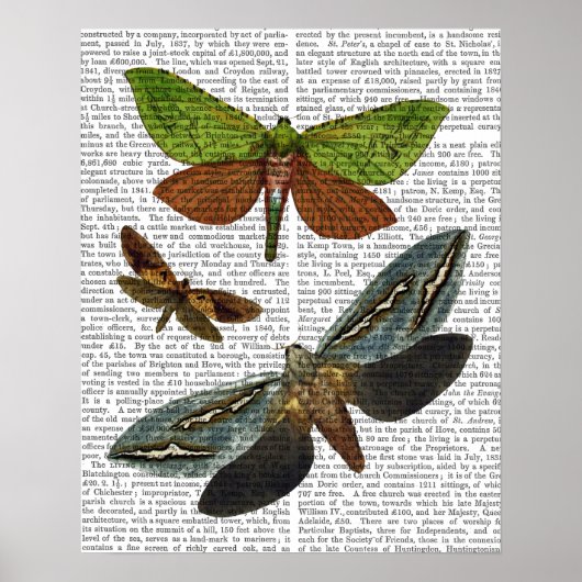 Butterflies 4 poster (Voorkant)