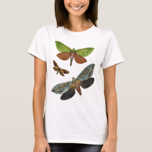 Butterflies 4 t-shirt