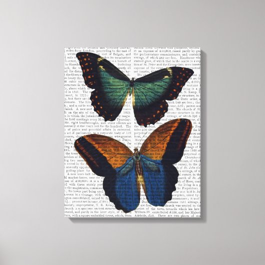 Butterflies 5 canvas afdruk (Voorkant)