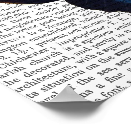 Butterflies 5 poster (Hoek)