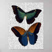 Butterflies 5 poster (Voorkant)