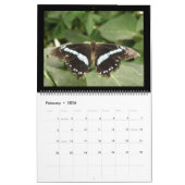 Butterflies - Aangepaste agenda Kalender (Feb 2026)