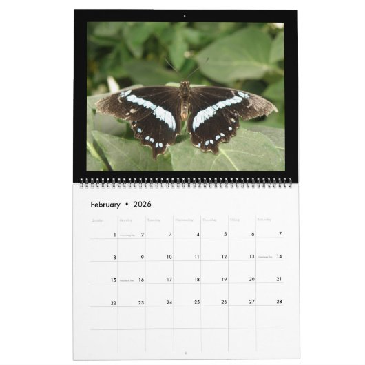 Butterflies - Aangepaste agenda Kalender (Feb 2026)