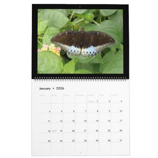 Butterflies - Aangepaste agenda Kalender (Jan 2026)