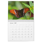 Butterflies. Agenda Kalender (Jan 2027)