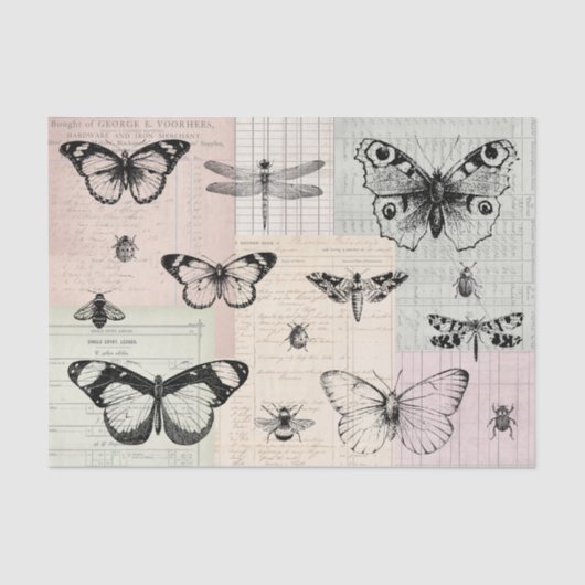 Butterflies and Bugs Tissuepapier (Voorkant)