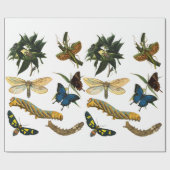 Butterflies Beetle Bugs snijdt collage kunst Cadeaupapier (Vlak)