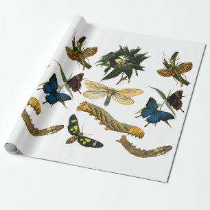 Butterflies Beetle Bugs snijdt collage kunst Cadeaupapier