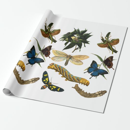 Butterflies Beetle Bugs snijdt collage kunst Cadeaupapier (Uitgerold)