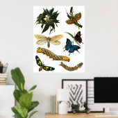 Butterflies Beetle Bugs snijdt collage kunst Poster (Thuiskantoor)