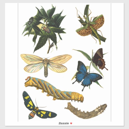 Butterflies Beetle Bugs snijdt collage kunst Sticker (Vel)