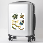 Butterflies Beetle Bugs snijdt collage kunst Sticker (Koffer)