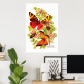 Butterflies & Beetles Poster (Thuiskantoor)