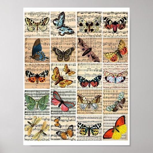 Butterflies Blad Muziek  Ephemera Art Poster (Voorkant)
