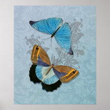 Butterflies Blue