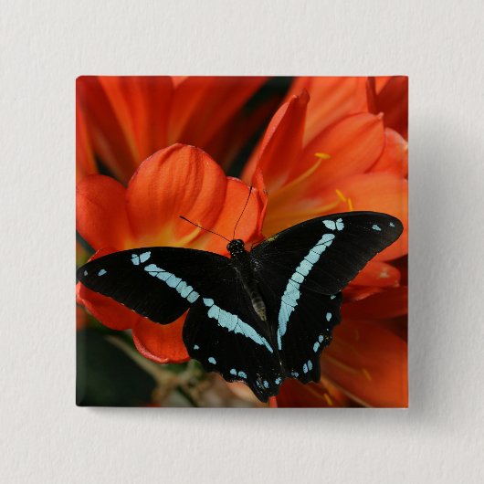 Butterflies BLUEY Vierkante Button 5,1 Cm (Voorkant)